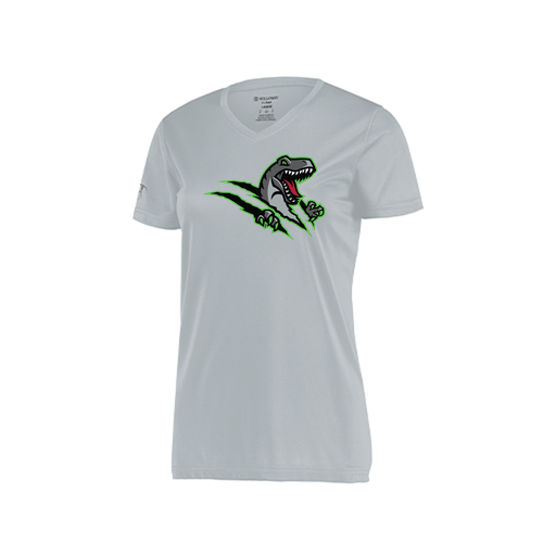 [222820.099.S-LOGO1] Ladies Movement Dri Fit Shirt (Female Adult S, Silver, Logo 1)
